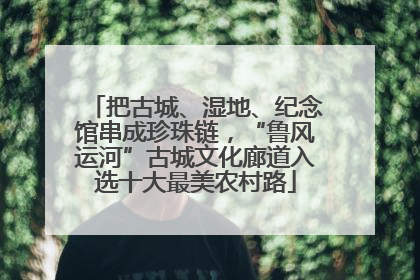 把古城、湿地、纪念馆串成珍珠链，“鲁风运河”古城文化廊道入选十大最美农村路
