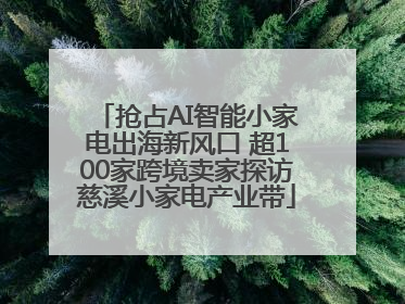 抢占AI智能小家电出海新风口 超100家跨境卖家探访慈溪小家电产业带