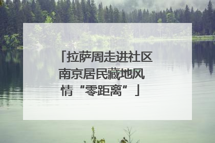 拉萨周走进社区 南京居民藏地风情“零距离”