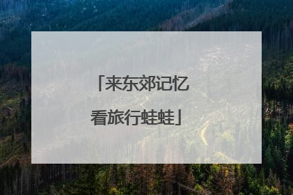 来东郊记忆 看旅行蛙蛙