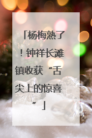杨梅熟了！钟祥长滩镇收获“舌尖上的惊喜”