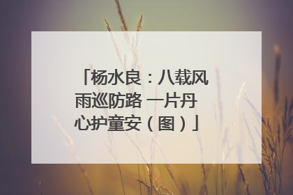 杨水良：八载风雨巡防路 一片丹心护童安（图）