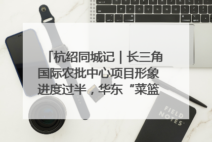 杭绍同城记｜长三角国际农批中心项目形象进度过半，华东“菜篮子”建设加码提速！