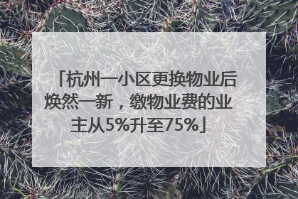 杭州一小区更换物业后焕然一新，缴物业费的业主从5%升至75%
