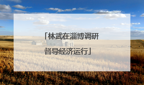 林武在淄博调研督导经济运行