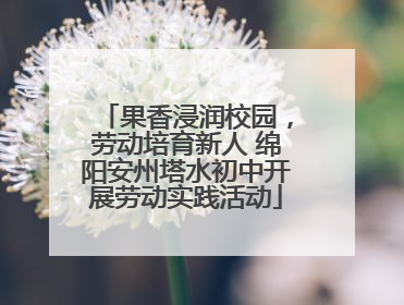果香浸润校园，劳动培育新人 绵阳安州塔水初中开展劳动实践活动