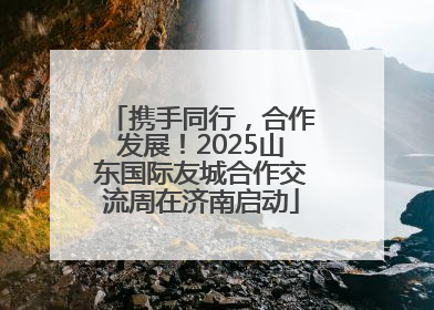 携手同行，合作发展！2025山东国际友城合作交流周在济南启动