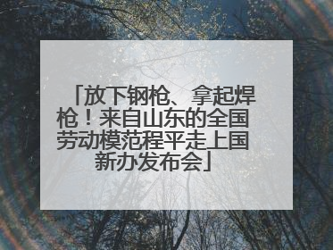 放下钢枪、拿起焊枪！来自山东的全国劳动模范程平走上国新办发布会