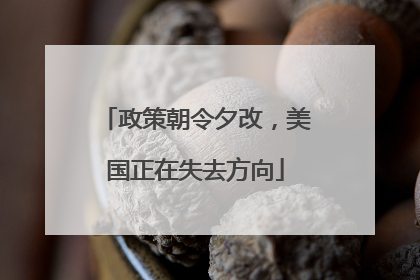政策朝令夕改，美国正在失去方向