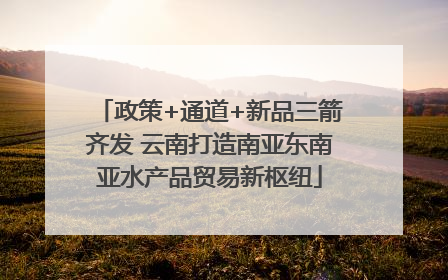 政策+通道+新品三箭齐发 云南打造南亚东南亚水产品贸易新枢纽