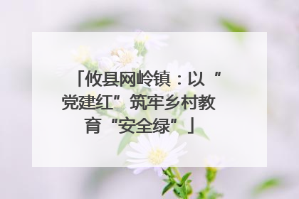 攸县网岭镇：以“党建红”筑牢乡村教育“安全绿”