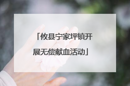 攸县宁家坪镇开展无偿献血活动