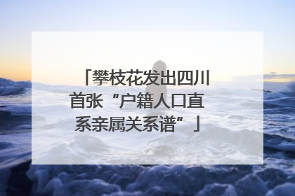 攀枝花发出四川首张“户籍人口直系亲属关系谱”