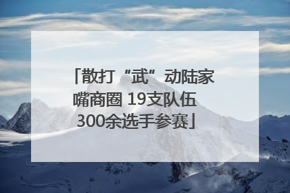 散打“武”动陆家嘴商圈 19支队伍300余选手参赛