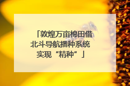 敦煌万亩棉田借北斗导航播种系统实现“精种”