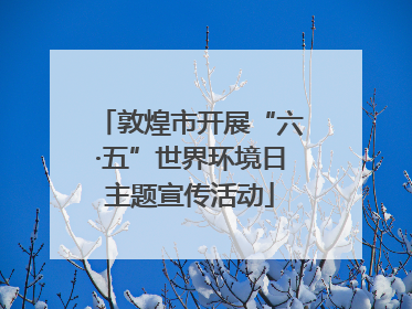 敦煌市开展“六·五”世界环境日主题宣传活动