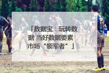 数据宝：玩转数据 当好数据要素市场“领军者”