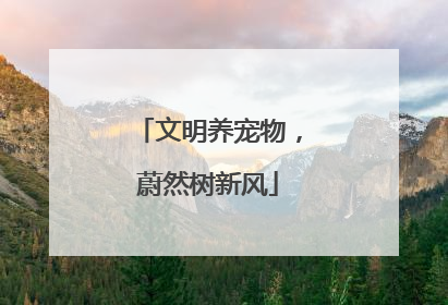 文明养宠物，蔚然树新风