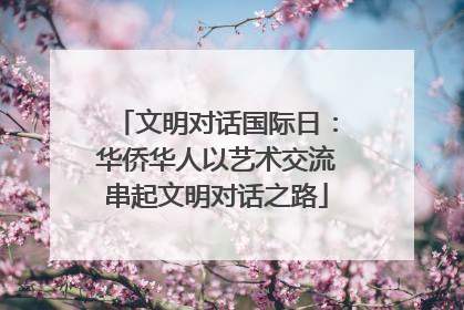 文明对话国际日：华侨华人以艺术交流串起文明对话之路