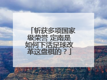 斩获多项国家级荣誉 定南是如何下活足球改革这盘棋的？
