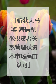 斩获天马奖 海信视像投资者关系管理获资本市场高度认可