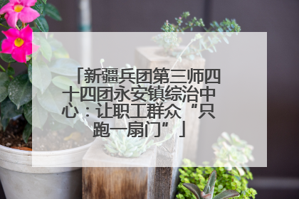 新疆兵团第三师四十四团永安镇综治中心：让职工群众“只跑一扇门”