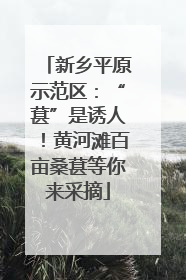 新乡平原示范区：“葚”是诱人！黄河滩百亩桑葚等你来采摘
