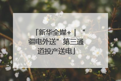 新华全媒+｜“疆电外送”第三通道投产送电