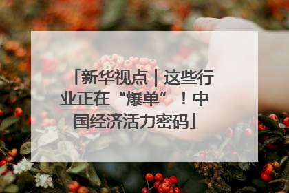 新华视点｜这些行业正在“爆单”！中国经济活力密码