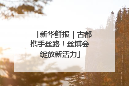 新华鲜报｜古都携手丝路！丝博会绽放新活力