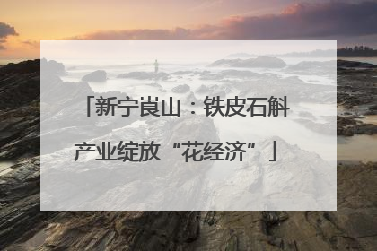 新宁崀山：铁皮石斛产业绽放“花经济”
