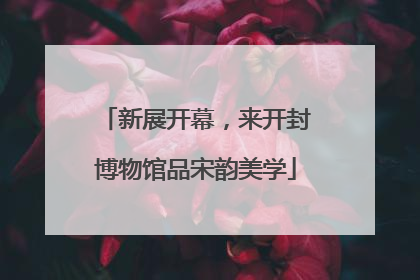 新展开幕，来开封博物馆品宋韵美学