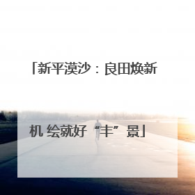 新平漠沙：良田焕新机 绘就好“丰”景