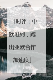 时评：中欧班列，跑出亚欧合作加速度