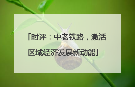 时评：中老铁路，激活区域经济发展新动能