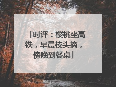 时评：樱桃坐高铁，早晨枝头摘，傍晚到餐桌