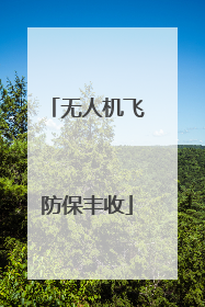 无人机飞防保丰收