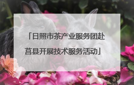 日照市茶产业服务团赴莒县开展技术服务活动