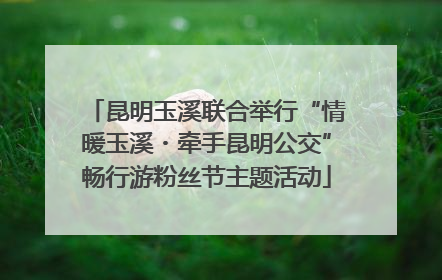昆明玉溪联合举行“情暖玉溪・牵手昆明公交”畅行游粉丝节主题活动