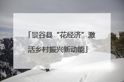 景谷县“花经济”激活乡村振兴新动能