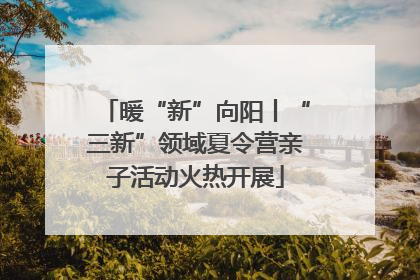 暖“新”向阳丨“三新”领域夏令营亲子活动火热开展