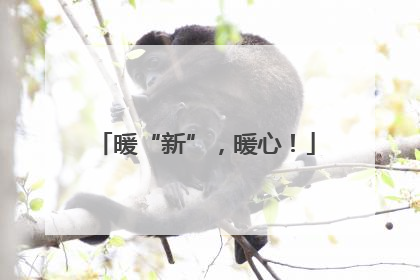 暖“新”，暖心！