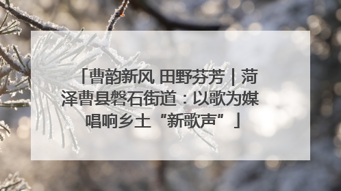 曹韵新风 田野芬芳｜菏泽曹县磐石街道：以歌为媒 唱响乡土“新歌声”