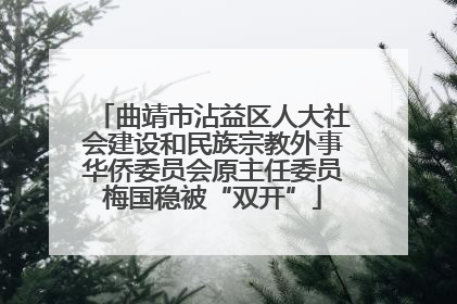 曲靖市沾益区人大社会建设和民族宗教外事华侨委员会原主任委员梅国稳被“双开”