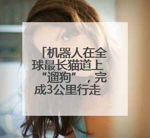 机器人在全球最长猫道上“遛狗”，完成3公里行走挑战