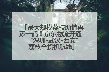 最大规模荔枝助销再添一码！京东物流开通“深圳-武汉-西安” 荔枝全货机航线