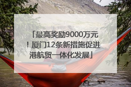 最高奖励9000万元！厦门12条新措施促进港航贸一体化发展
