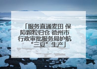 服务直通麦田 保障颗粒归仓 德州市行政审批服务局护航“三夏”生产