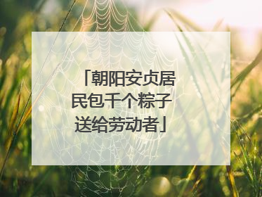朝阳安贞居民包千个粽子送给劳动者