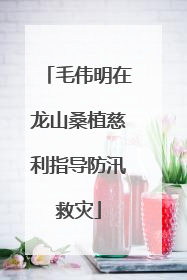 毛伟明在龙山桑植慈利指导防汛救灾